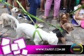 imagem 12. Evento: 