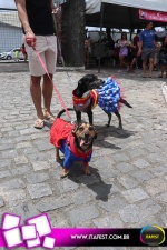 imagem 5. Evento: 