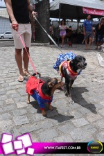 imagem 6. Evento: 