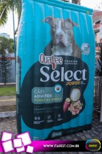 imagem 19. Evento: 