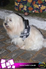 imagem 231. Evento: 